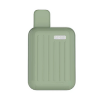 Case